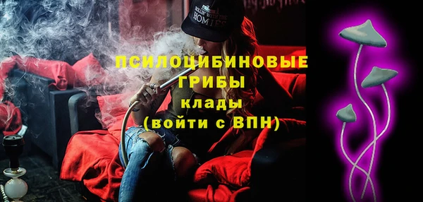 спайс Инта
