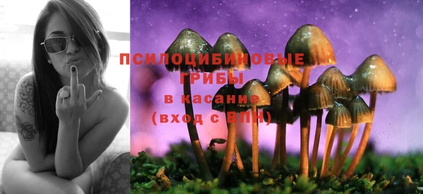 ПСИЛОЦИБИНОВЫЕ ГРИБЫ Зеленокумск